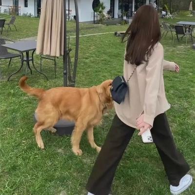 呼啦最强音